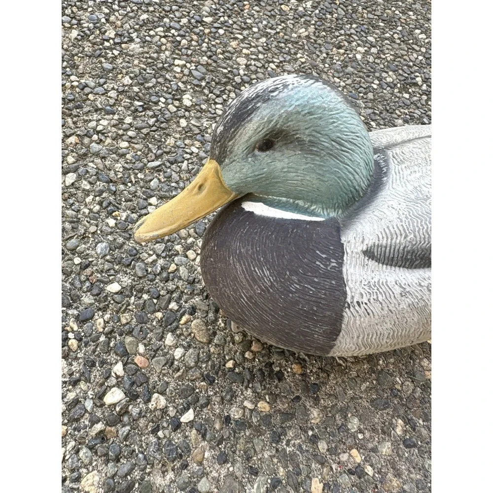 Avery 2003 Outdoors Greenhead Gear GHG Mallard Drake Life Size Hunting Decoy‎